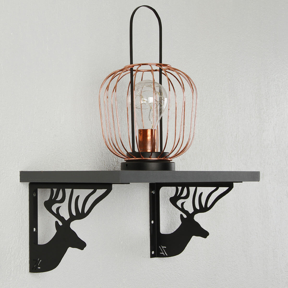 ANIMAIS01PT-77.jpeg ANIMAIS01PT-77.jpeg