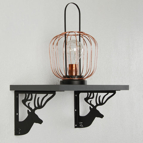 ANIMAIS01PT-77.jpeg ANIMAIS01PT-77.jpeg