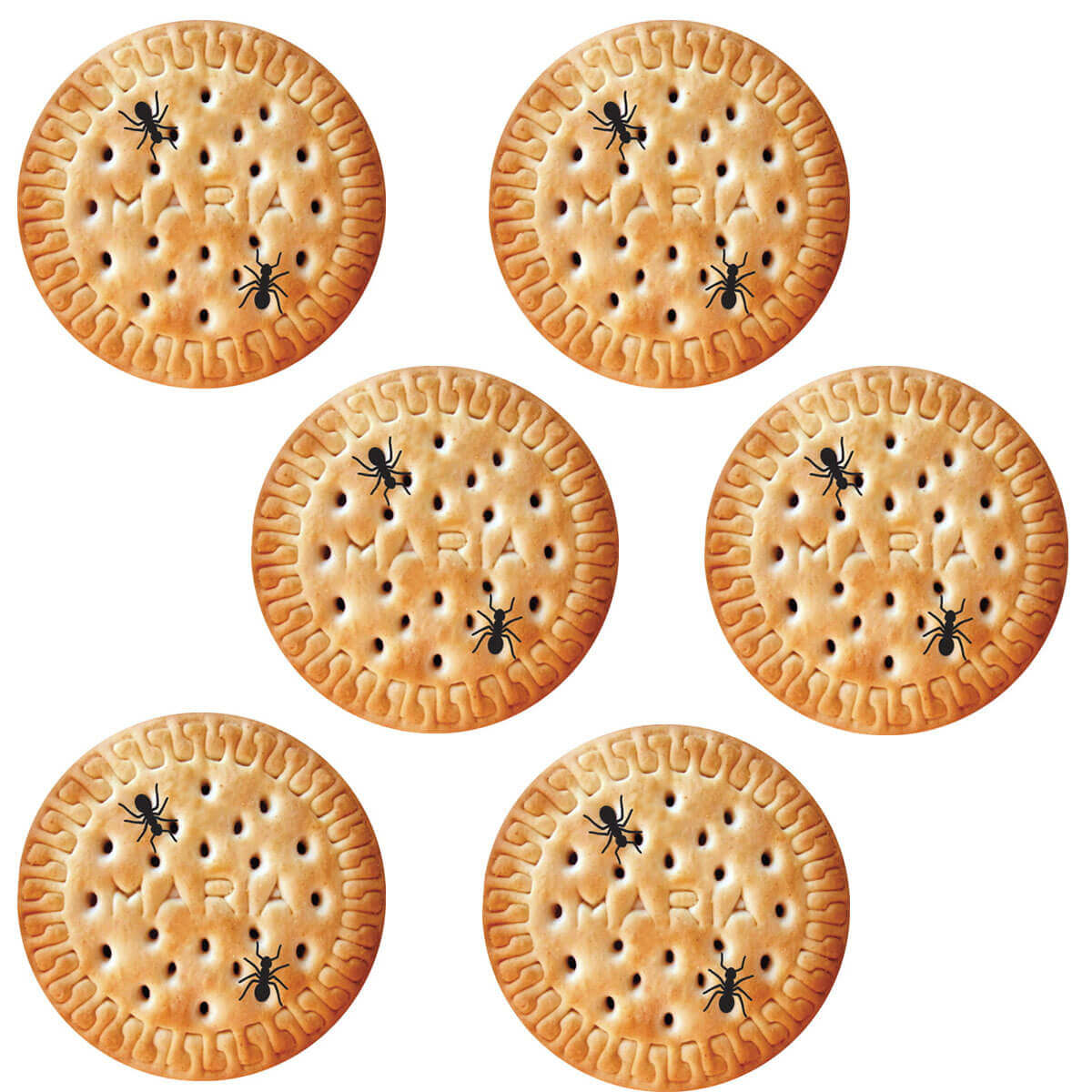 7798139394253_A.jpg 7798139394253_A.jpg