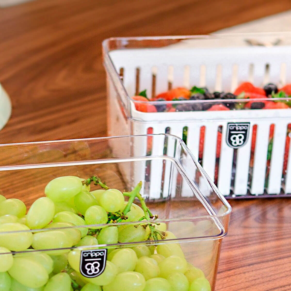 403148002_C.jpg 403148002_C.jpg