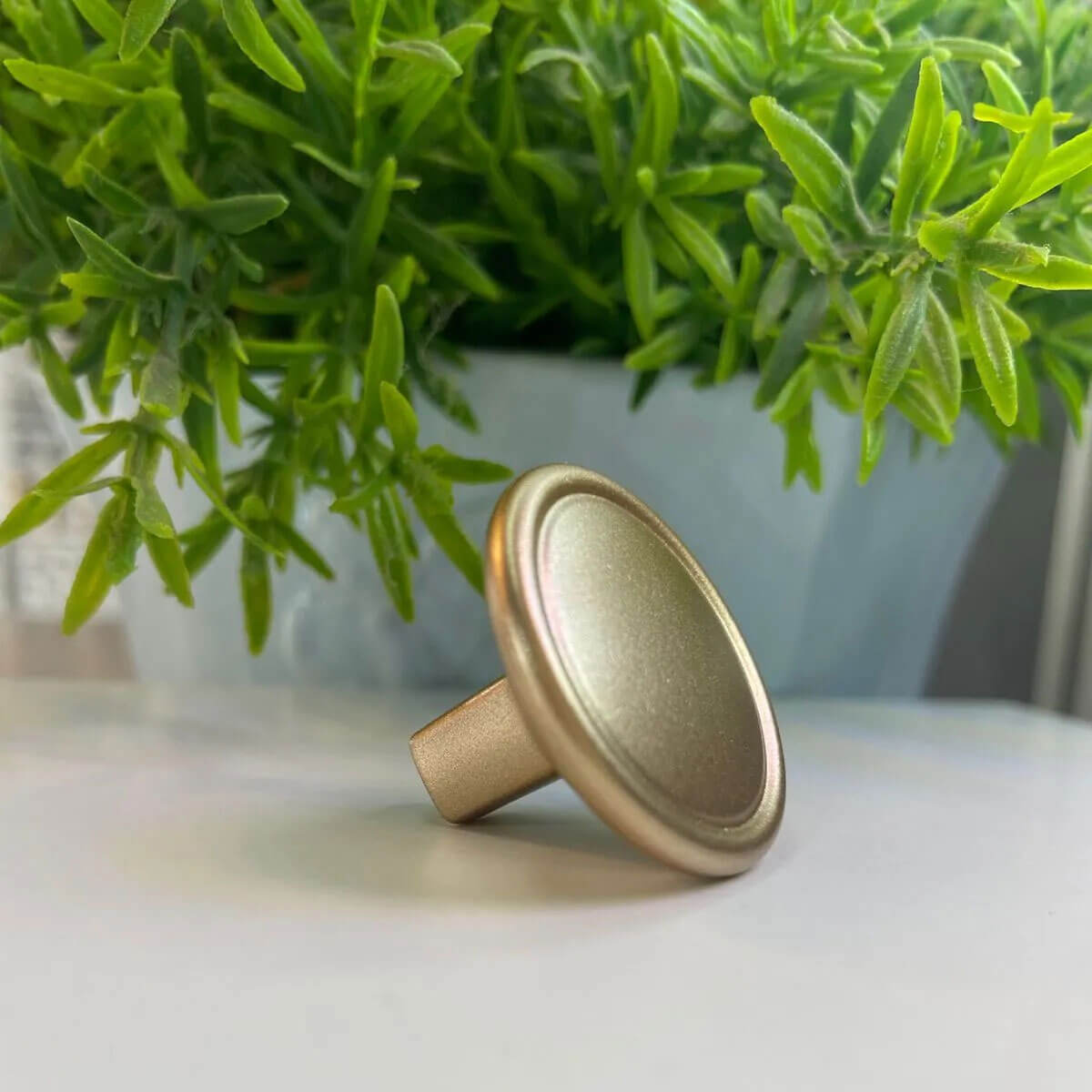 7798140585152.jpg 7798140585152.jpg