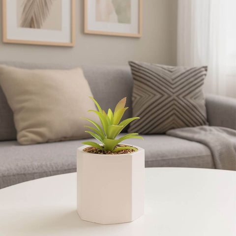 7895730615685.jpg 7895730615685.jpg