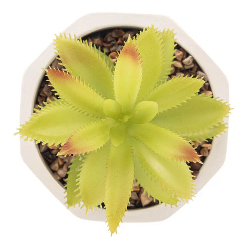 7895730615685_C.jpg 7895730615685_C.jpg