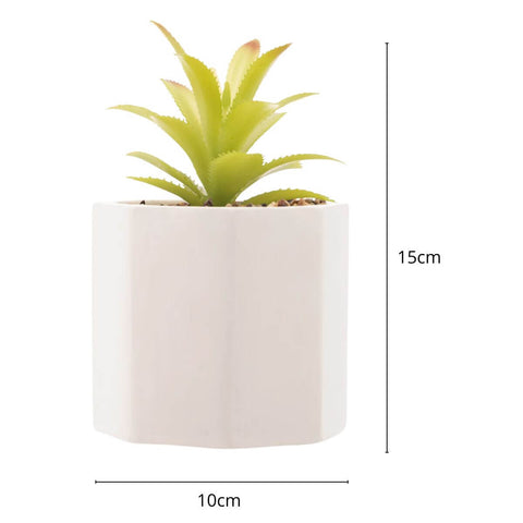 7895730615685_D.jpg 7895730615685_D.jpg