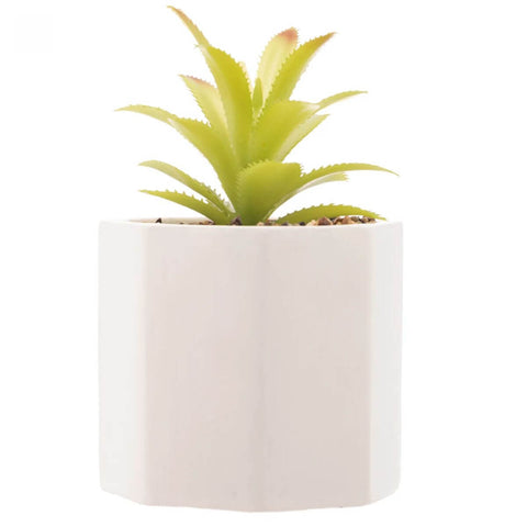 7895730615685_E.jpg 7895730615685_E.jpg