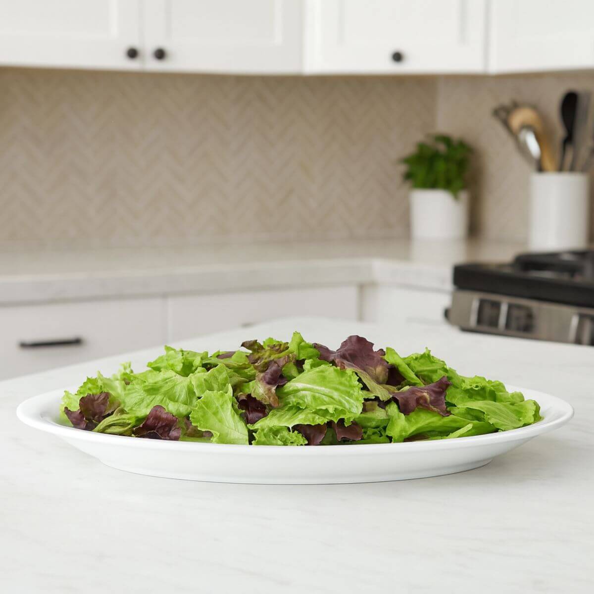 7794464615537_D.jpg 7794464615537_D.jpg