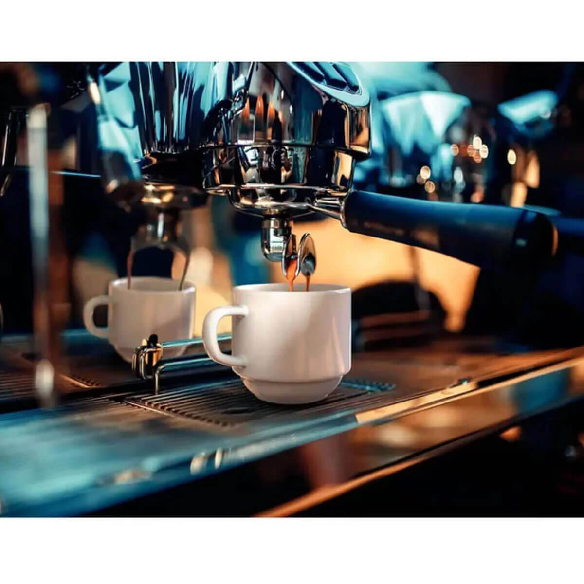 7794464754885_C.jpg 7794464754885_C.jpg