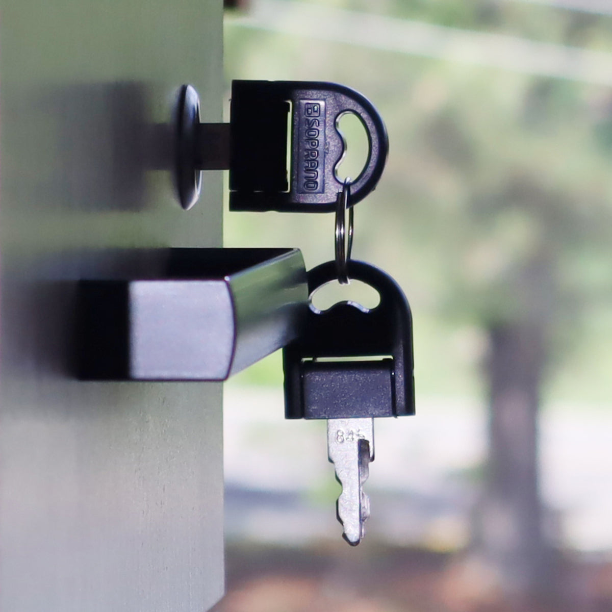 7908212537068_11_IMG_9173.jpg 7908212537068_11_IMG_9173.jpg