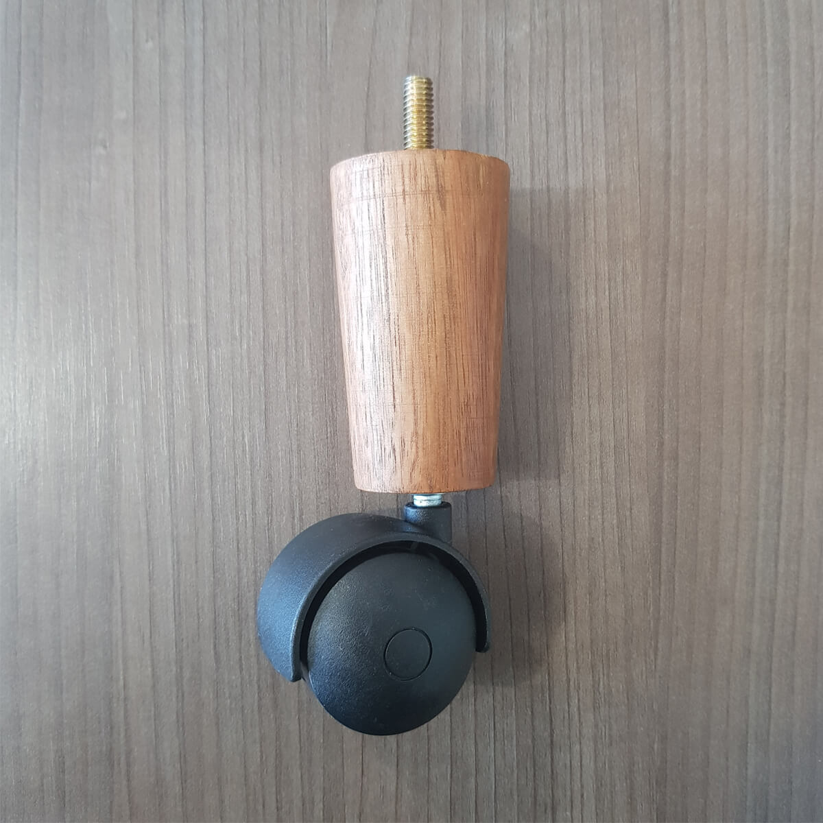 79DM13MEL_1.jpg 79DM13MEL_1.jpg