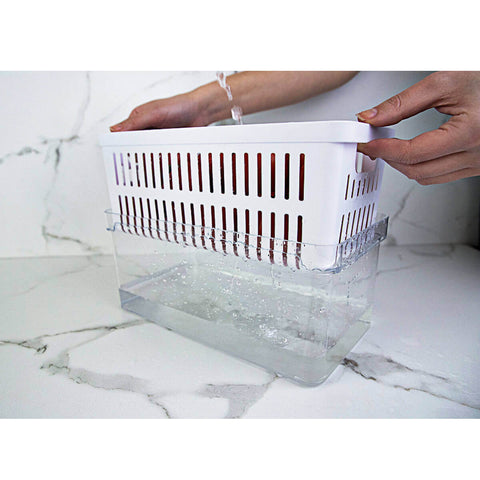 Kit 3 Caixas Organizadoras De Geladeira Transparentes Armazenadoras De Frutas Legumes Ovos Clear Fresh OU Kit 3 Caixas Organizadoras De Geladeira Transparentes Armazenadoras De Frutas Legumes Ovos Clear Fresh OU