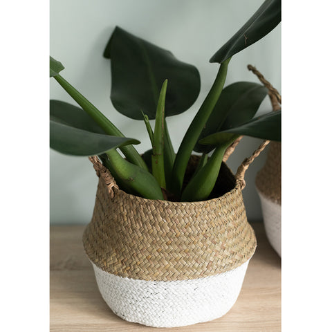 Cesto Origin Pequeno Com Alças Laterais Yoi Cesto Trançado Seagrass Natural E Branco Cesto Origin Pequeno Com Alças Laterais Yoi Cesto Trançado Seagrass Natural E Branco