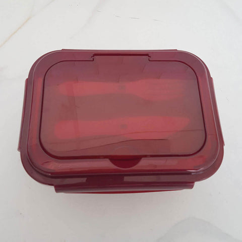 Kit Bolsa Térmica 8L Marmita de Vidro Hermética Vermelha 1L com Divisória Talheres Sanremo Cinza