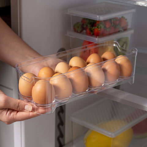 Organizador de Geladeira Porta Ovos 12 Unidades 28x10x7,5cm Transparente Plástico UZ
