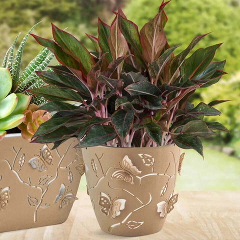 Vaso de Flor Plantas Cachepot 3D Floreira de Mesa Decor 1,4L Plasvale Borboletas