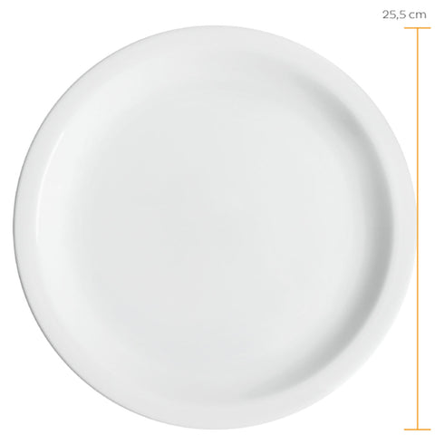 5546522600X24.jpg