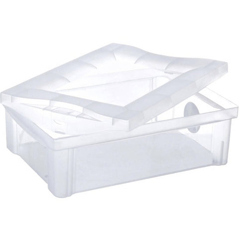 2 Caixas Organizadoras Plásticas 13,5L Ordene com Tampa Radical Color Transparentes