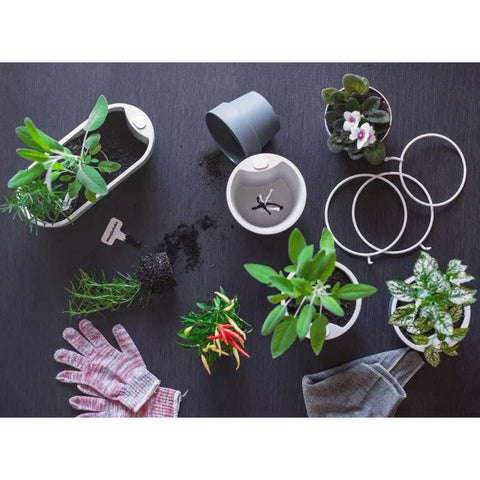 Kit 2 Suportes M Aço Vasos Médios Pintura Epóxi Flor Jardim Parede OU