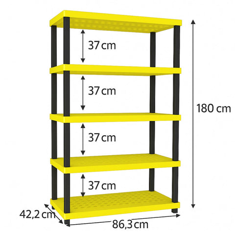 7794465065683_C.jpg