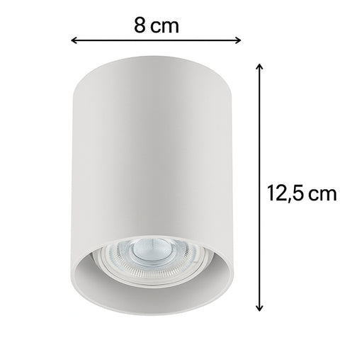 7794465266417_C.jpg