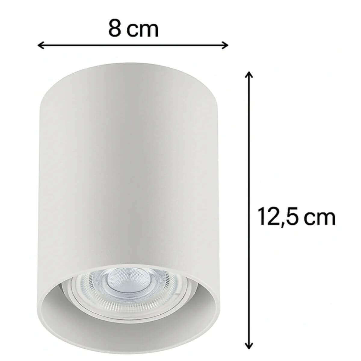 7794465686031_C.jpg