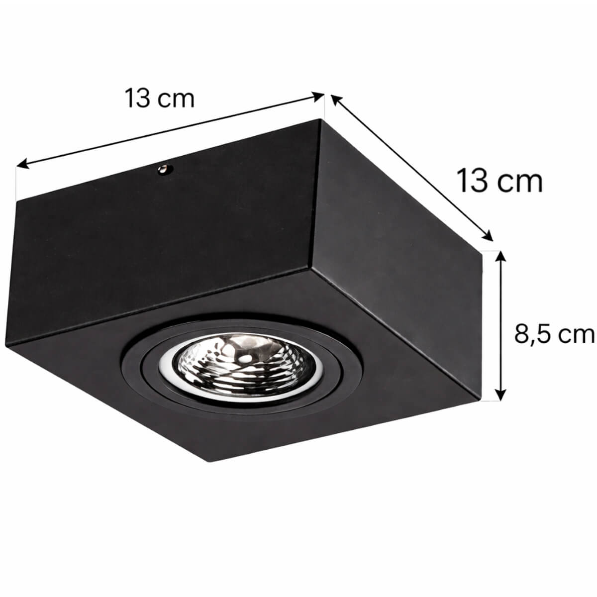 7908621310184_C.jpg