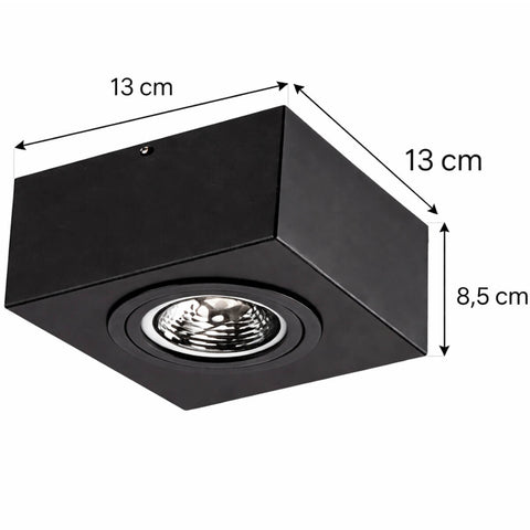 7908621310184_C.jpg