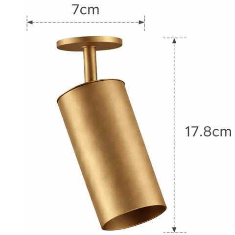 7794466327384_C.jpg