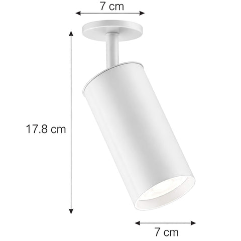 7908621309829_C.jpg