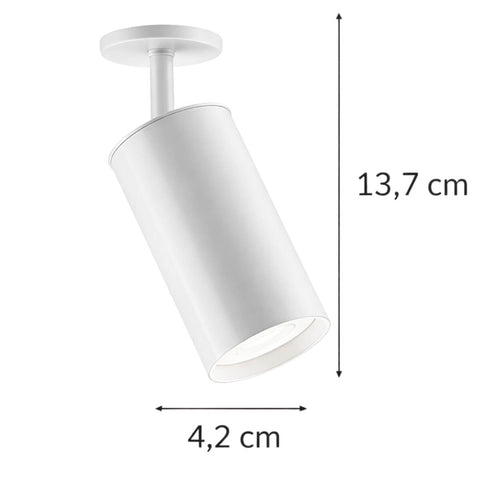 7794466346804_C.jpg