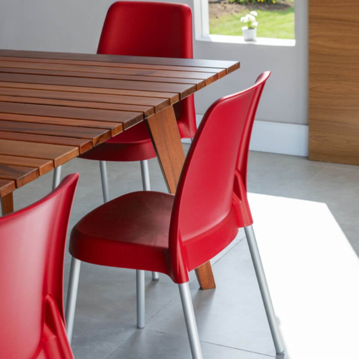 7794466217562_F.jpg