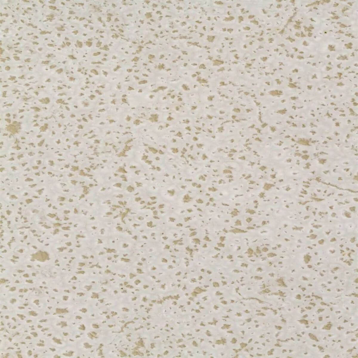 1231126301_E.jpg