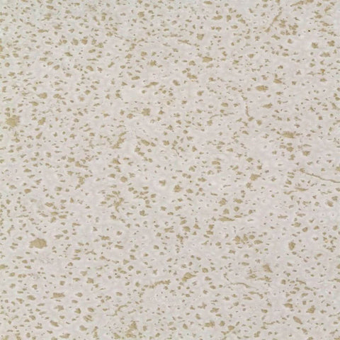1331126301_E.jpg