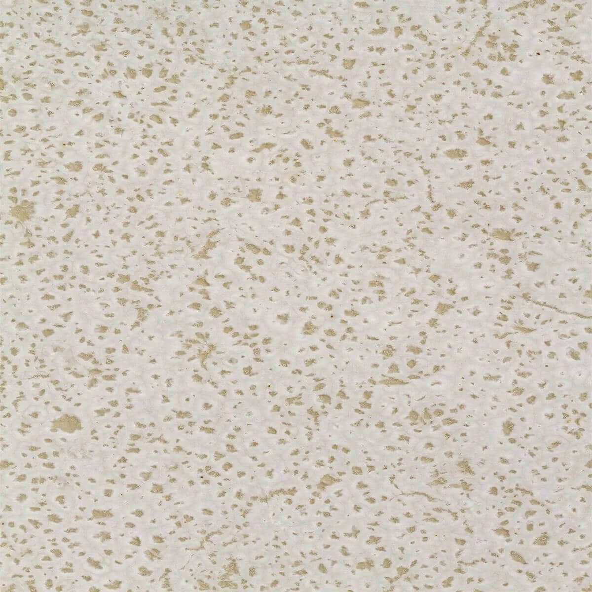 1431126301_F.jpg