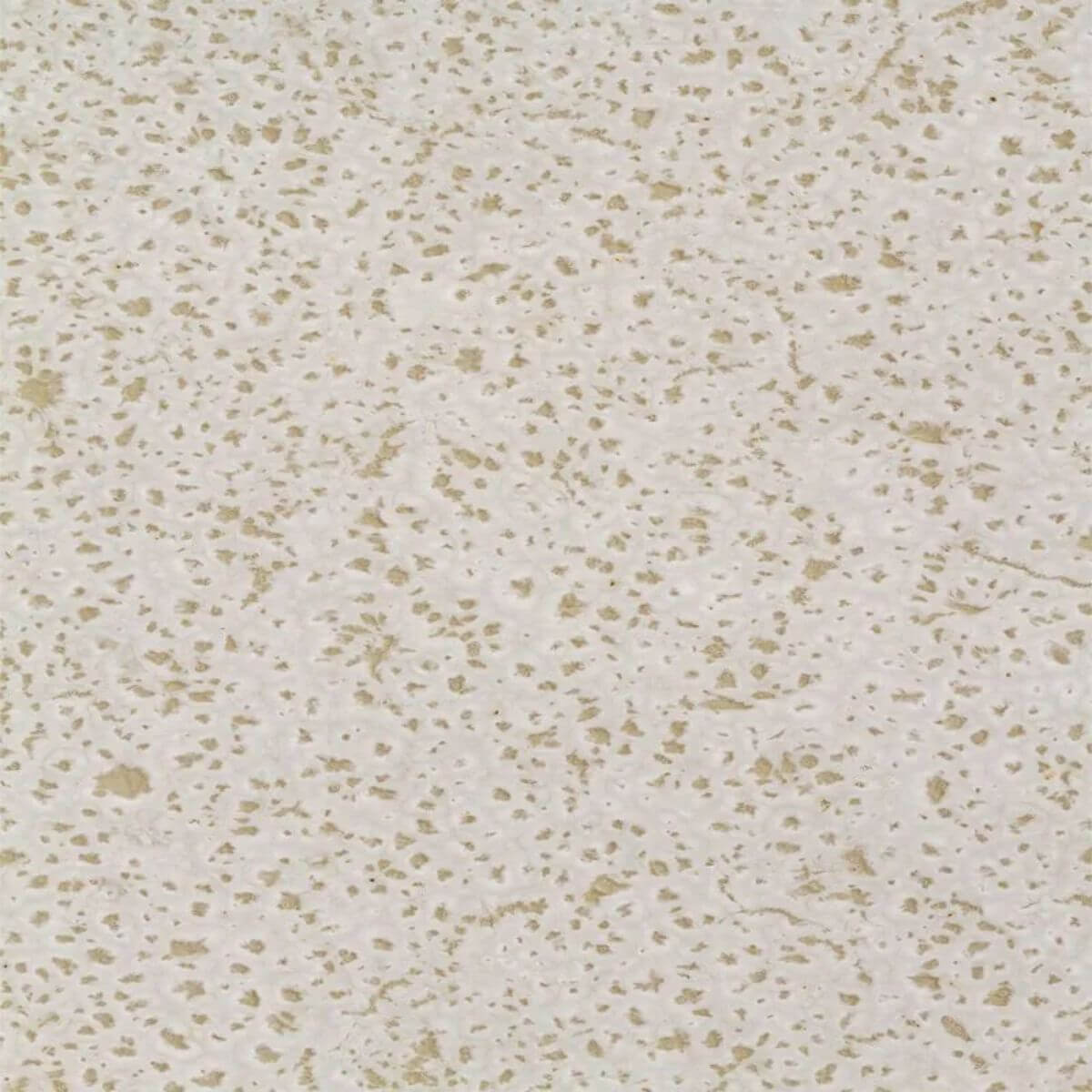 39631126301_E.jpg