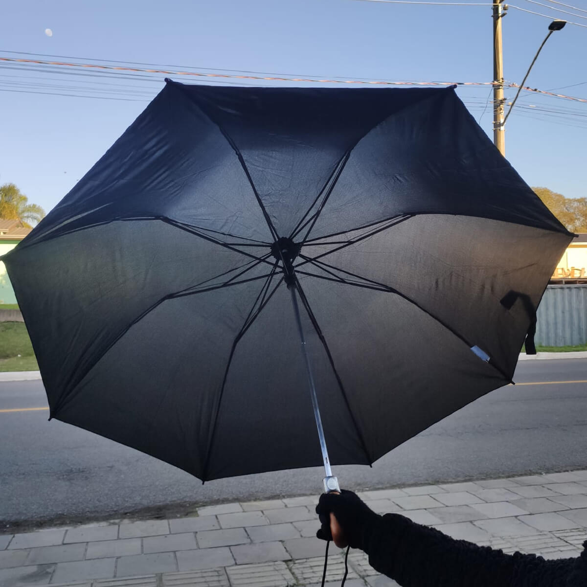 7898721310071_C.jpg