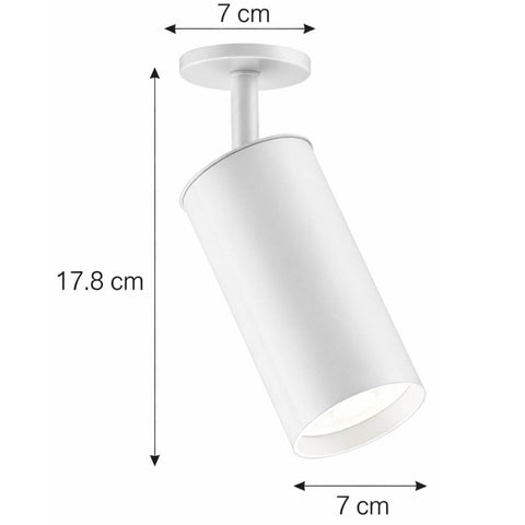 7794466327452_C.jpg