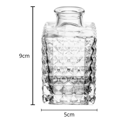7908122201691_C.jpg