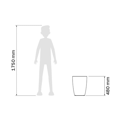 7908538112710_D.jpg
