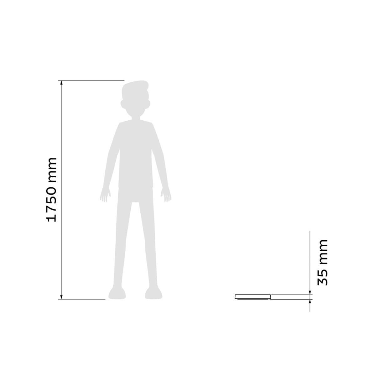 7908538113304_D.jpg