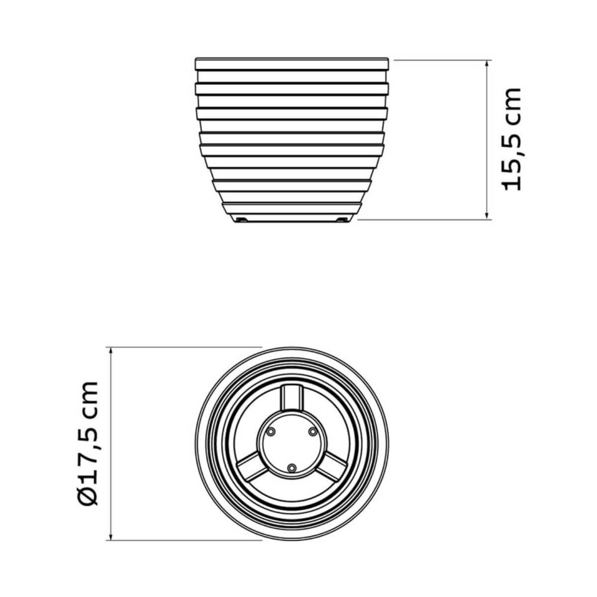 7908538126229_C.jpg