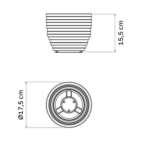 7908538126229_C.jpg
