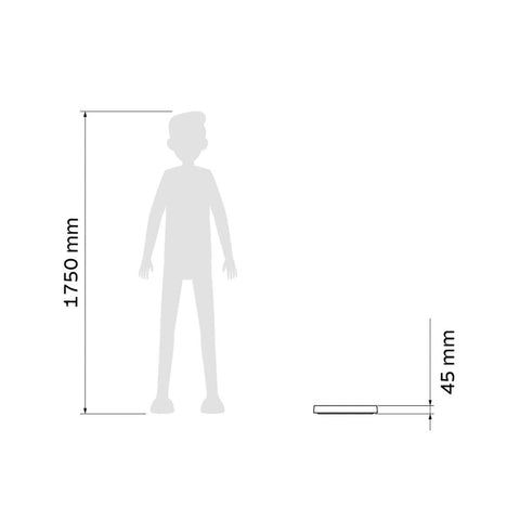 7908538113151_D.jpg