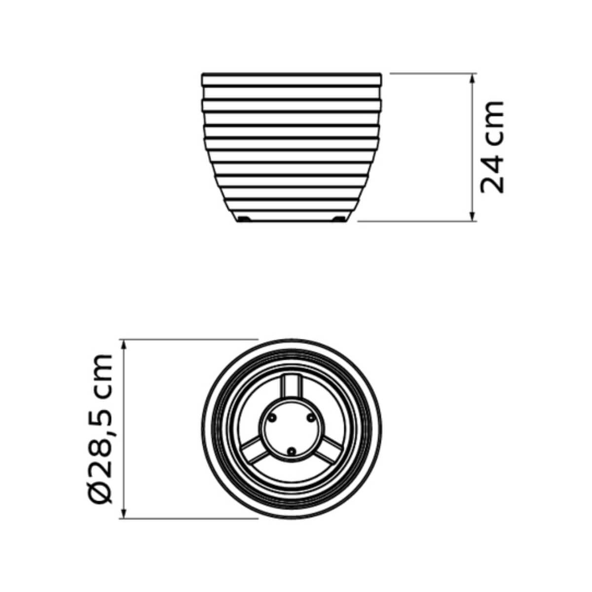 7898631068369_C.jpg