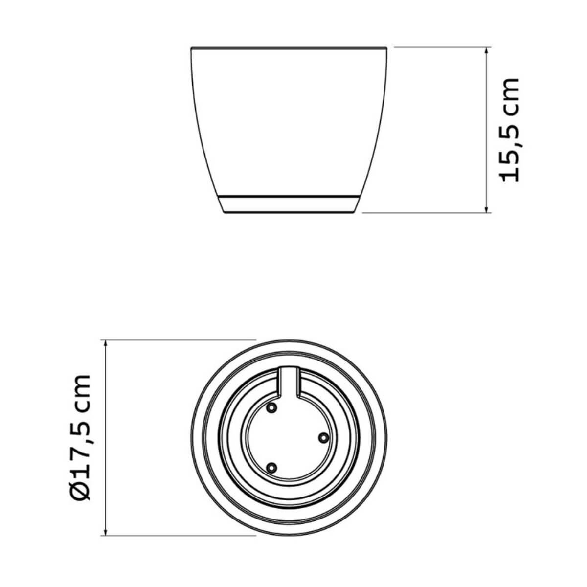 7908538126250_C.jpg