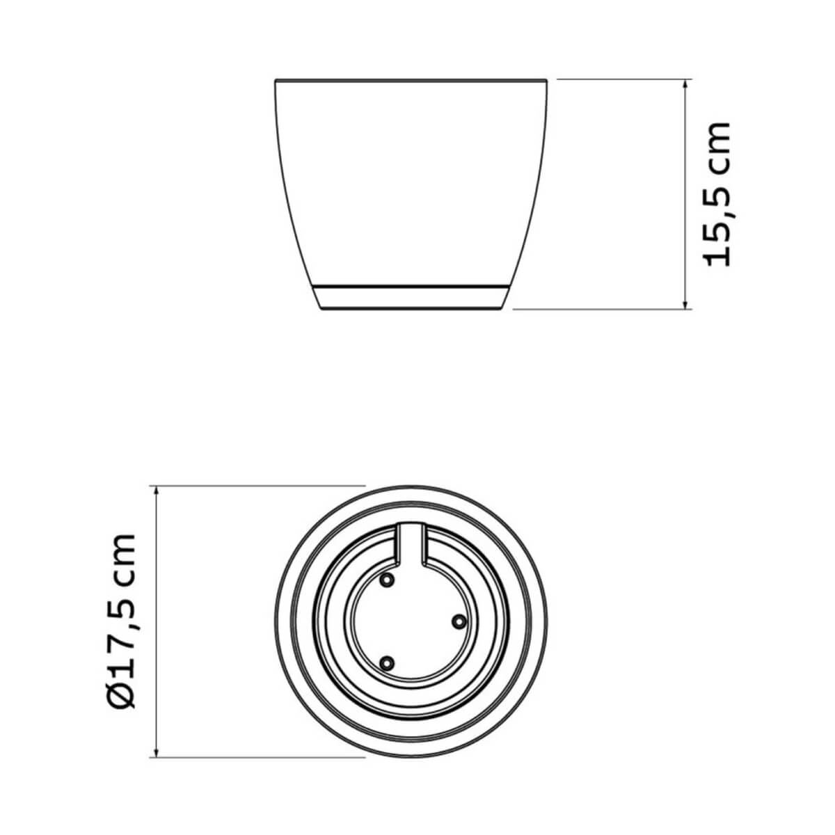 7908538126281_C.jpg