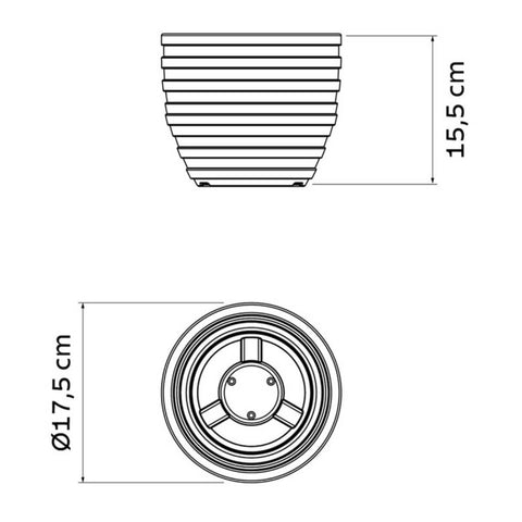 7908538126236_C.jpg