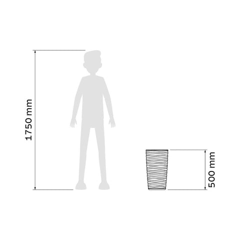 7908538112680_C.jpg