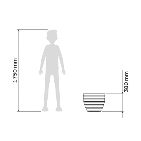 7908538112147_E.jpg