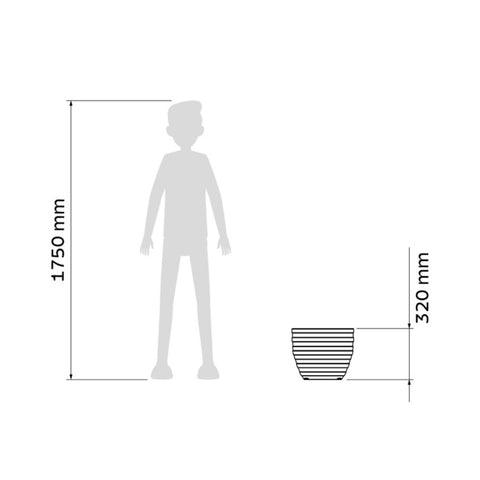 7908538111386_E.jpg
