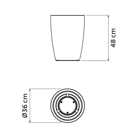 7898631065597_C.jpg